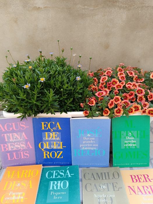 Coleção Brevíssima Portuguesa