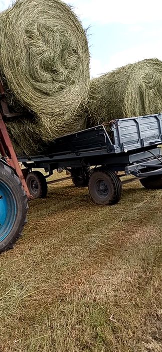 Продам сіно в наявності дуже багато