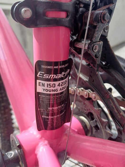 Bicicleta de menina 24