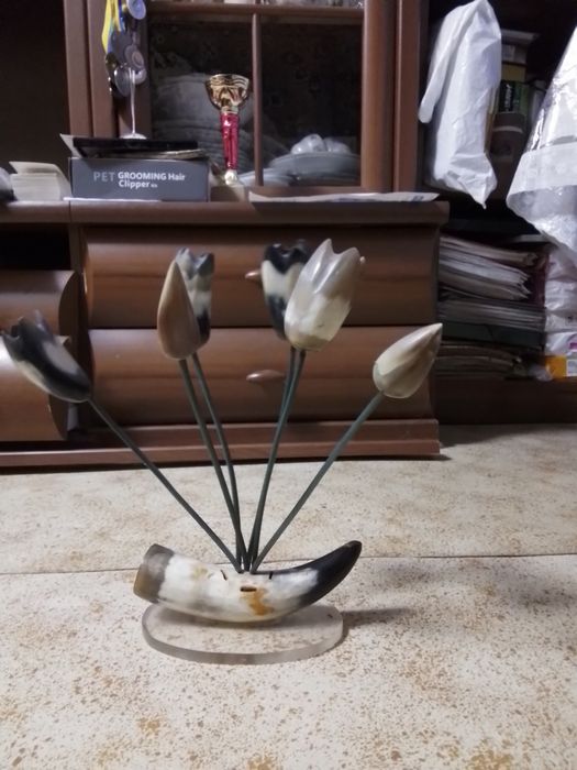 Сувенірні тюльпани