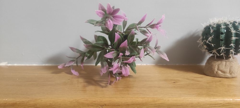 Sztuczne rośliny do akwarium