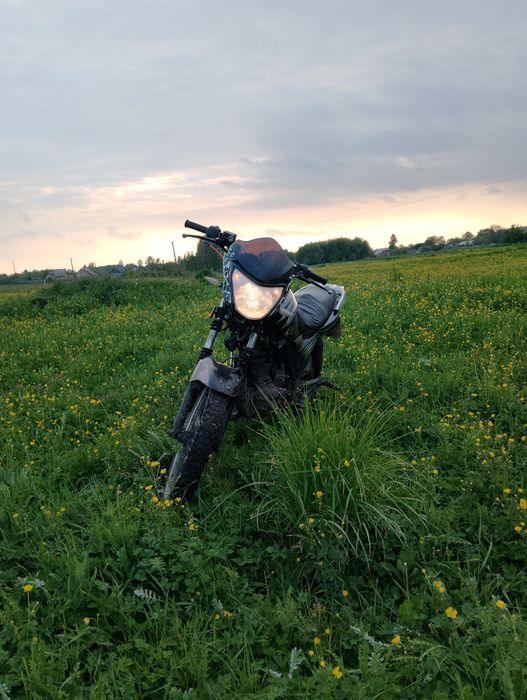 Мустанг регіон 150