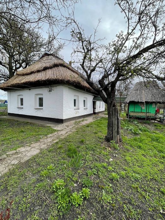 Будинок хата в селі