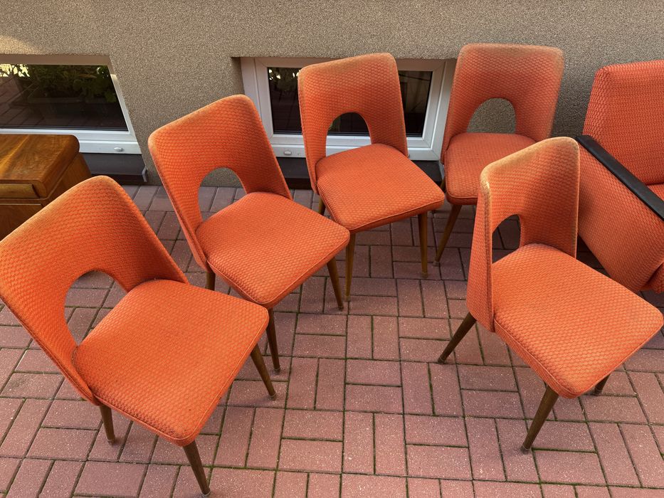 6 Krzeseł PRL Muszelka Bydgoskie Fabryki Mebli