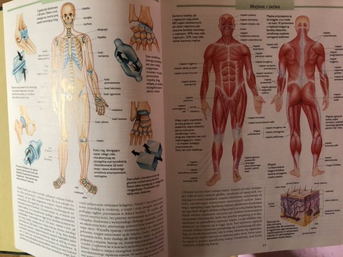 Rodzinna Encyklopedia Zdrowia Readers Digest