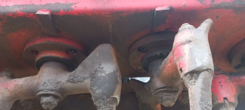 Brona Aktywna Lely witam