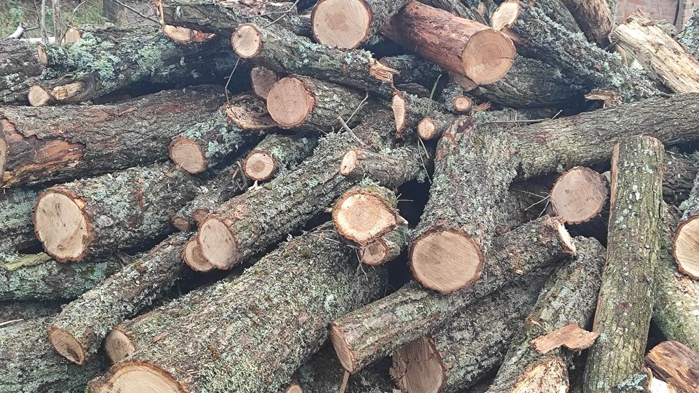 Дрова твердих порід.пиляні .колоті. рубані