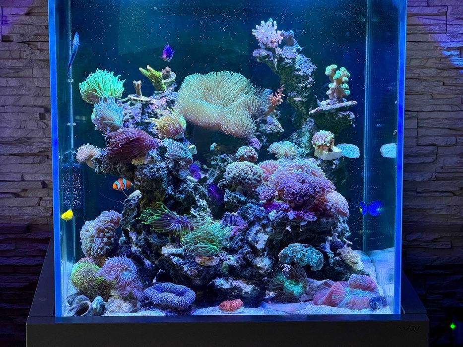 Akwarium Nyos G2 200 Pro line