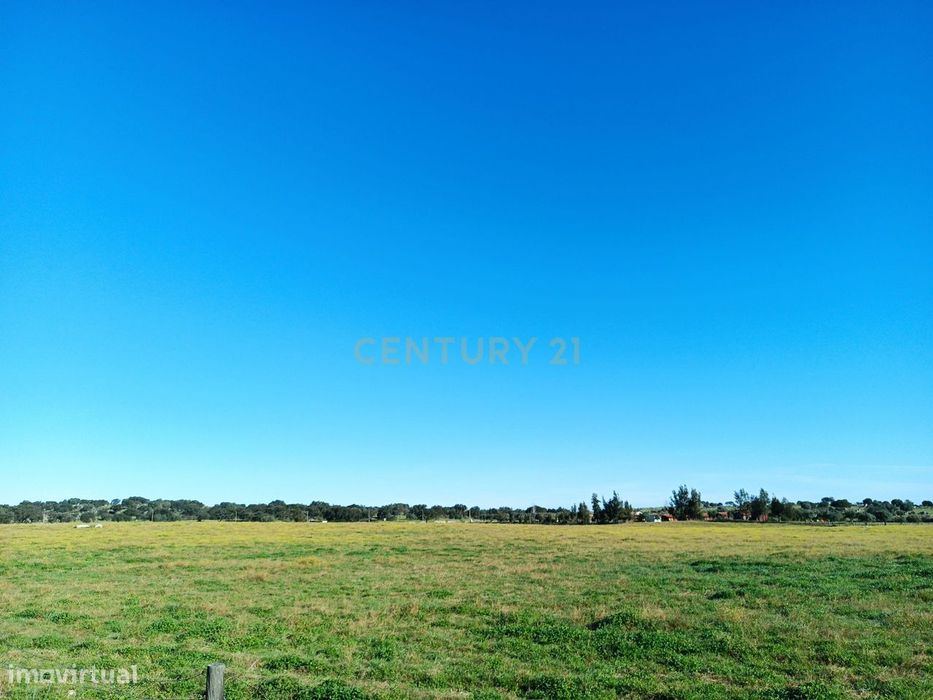 Terreno Rústico próximo da Barragem do Caia