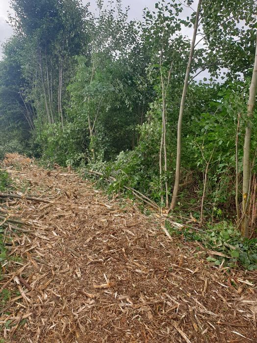 wycinka rekultywacja koszenie mulczowanie czyszczenie działek