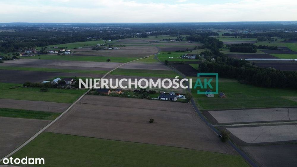 Rosocha gm. Golina | 4 działki na sprzedaż | 60zł/m² - Więcej
