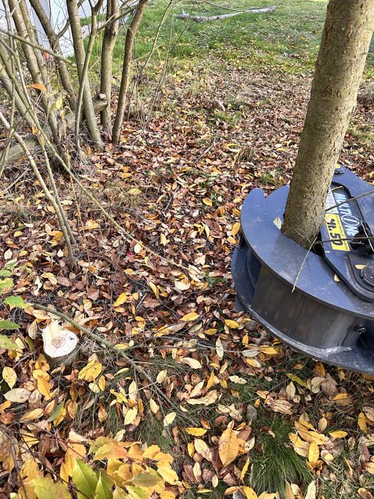 Wynajem MultiOne 8.5 + nożyce – precyzyjne usuwanie drzew, samosiejek.