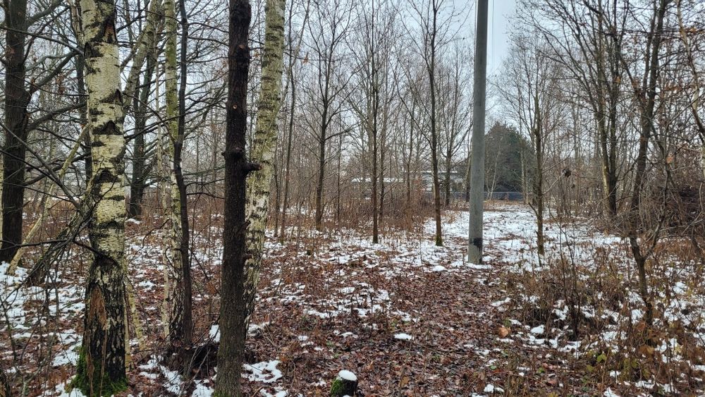 Działka 2500 m2  Bleszno Stradom