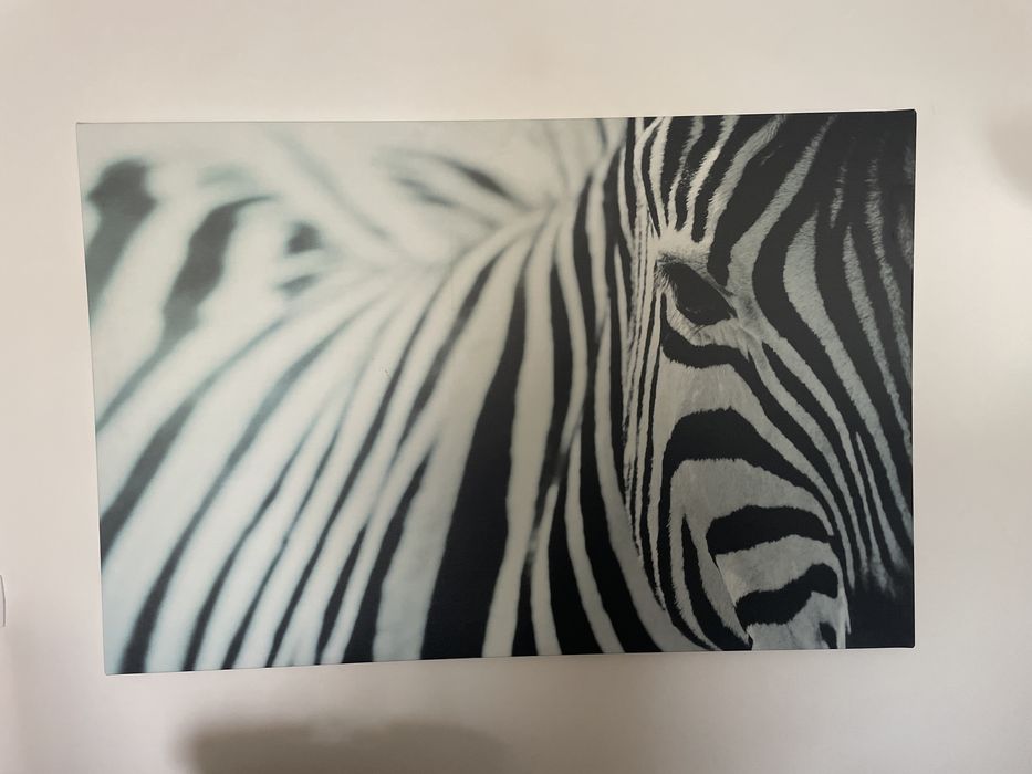 Zebra Frame - IKEA445674313891850240