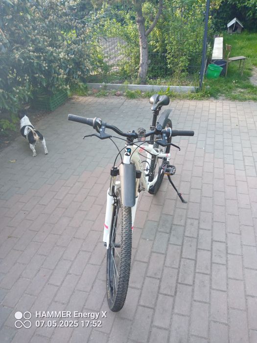 Rower rockraider st 100