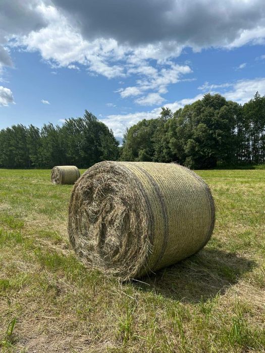 Sprzedam belę siana