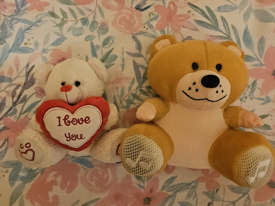 Maskotki misie 2 sztuki