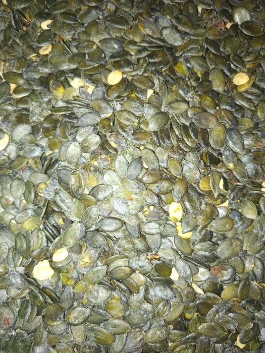 Гарбузове насіння