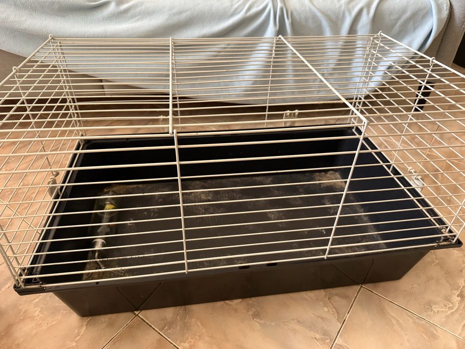 Gaiola Roedor + Ração + Feno + Absorvente