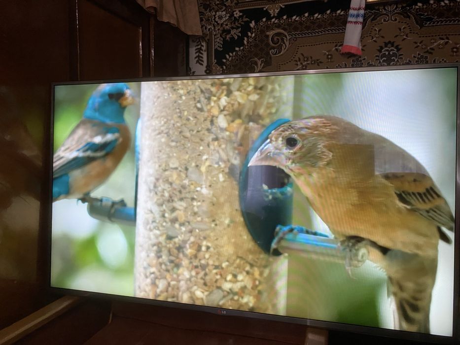 Продам 55 lg smart tv Т2
