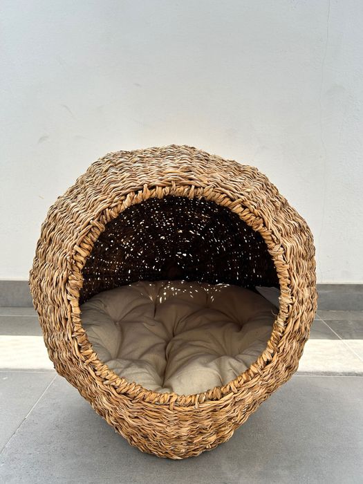 Casinha para pet