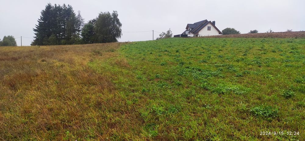 Działka budowlana Masłowo/Szarłata warunki zabudowy