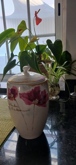 Pote cerâmica vista alegre