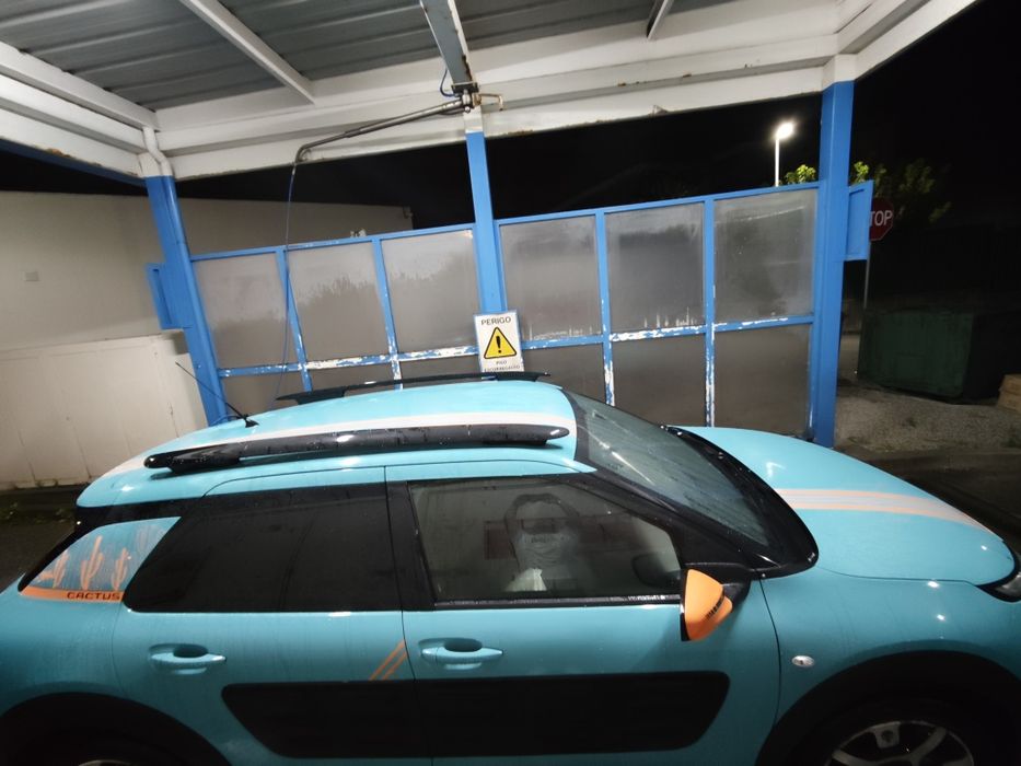 Citroen C4 catus