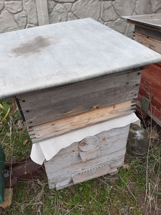 Вулики українка та ін