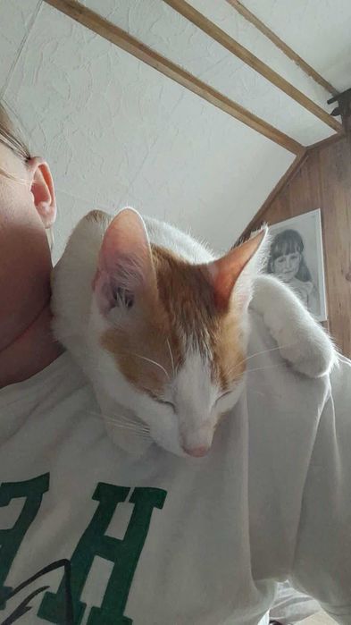 Charlie czeka na domek