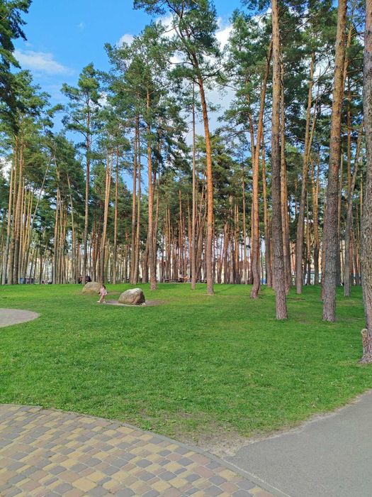 Оренда фасадного приміщення біля Центрального парку, без %