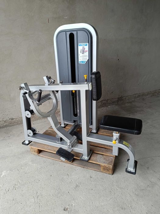 Hammer plecy najszerszy grzbietu OLYMP na pasie siłownia hes hbp sewim