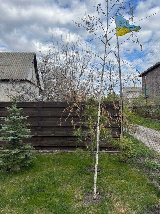 Продам будинок/дачу в с. Балівка
