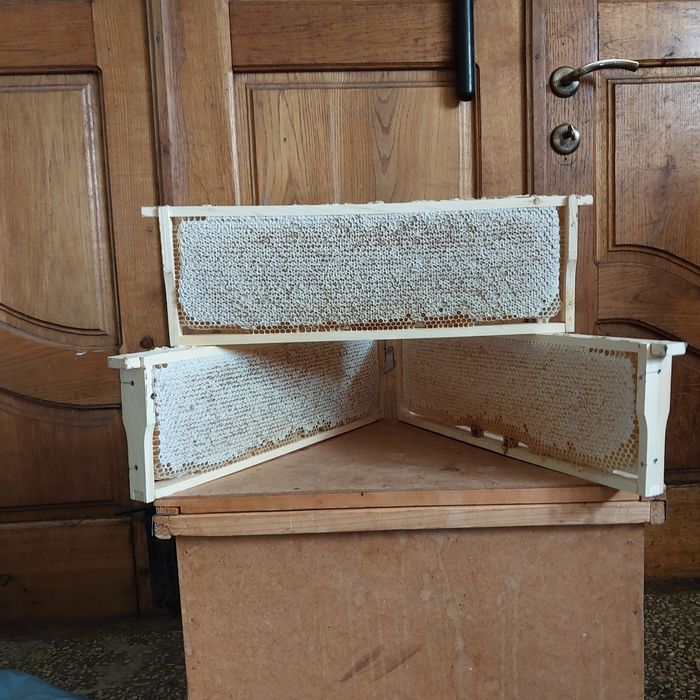 Продається пасіка,Бджолосім'ї на українську рамку