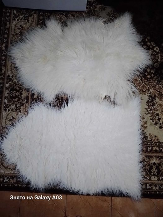 Шкура барана овцы