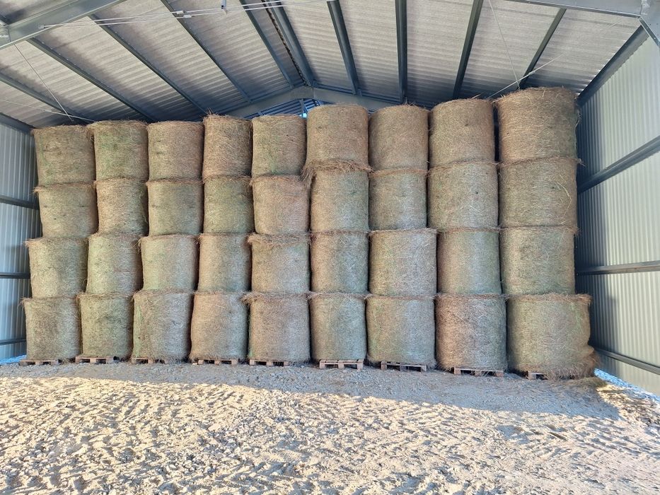 Sianokiszonka i siano