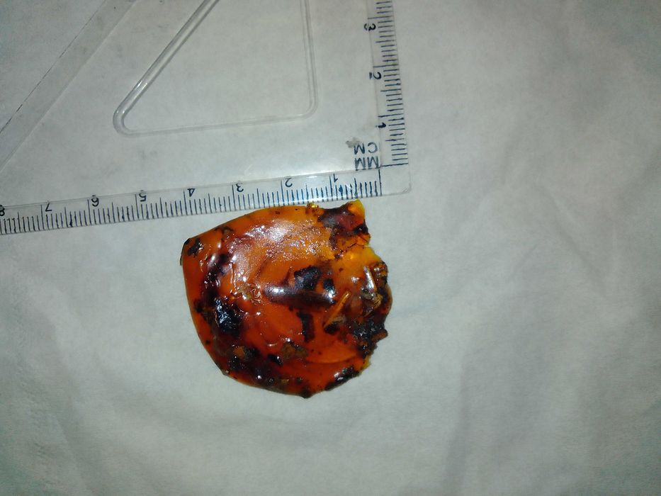 Продам янтарь молодой, копаль