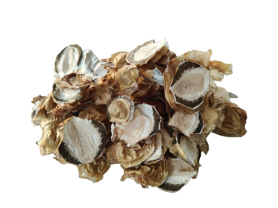 Czarcie Jajo – grzyb suszony w plasterkach 100g