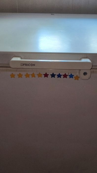 Arca congeladora Fricon