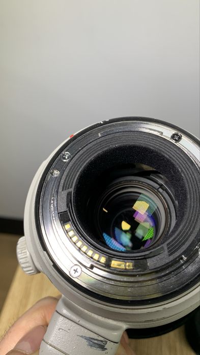 Canon EF 100-400