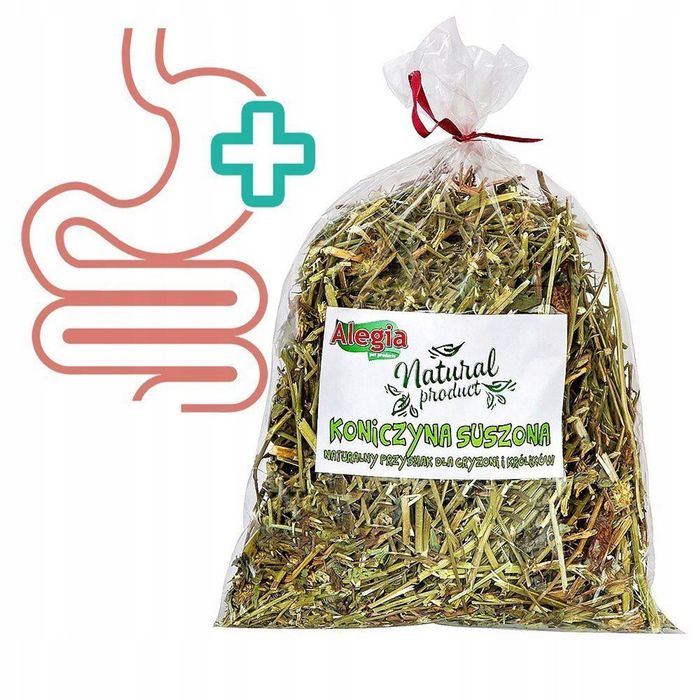 Koniczyna suszona 100g dla królików i gryzoni