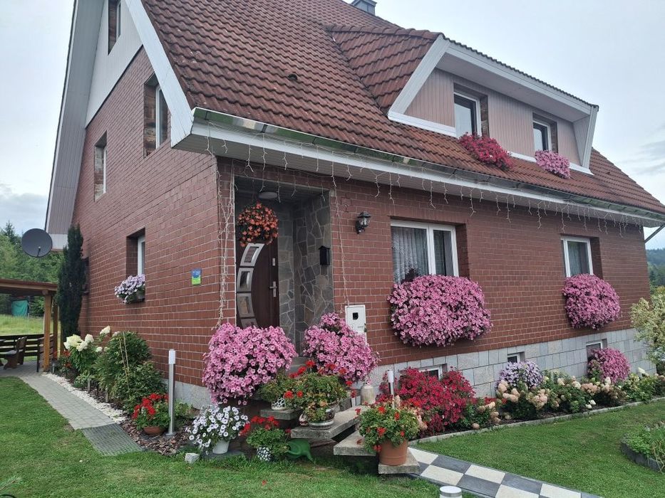 Pokoje do wynajęcia