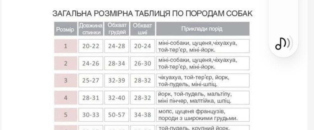 Зимовий одяг для собак