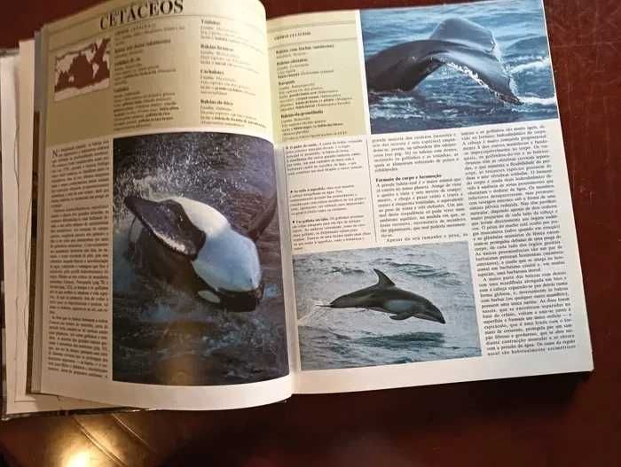 Mamíferos marinhos; Coleção Animais de todo o Mundo*