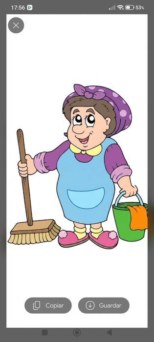 I Provide Domestic Cleaning Services in Ericeira and the Rural Area of Sintra