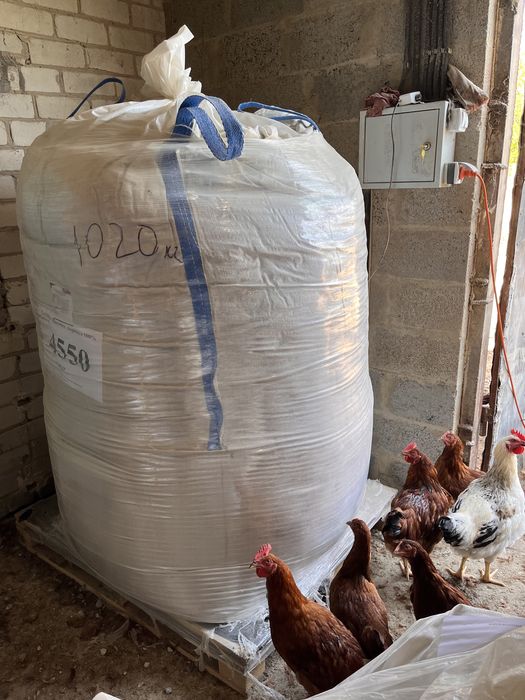 Беги мішки бу