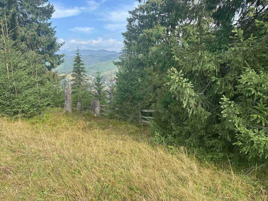 Земельна ділянка, с. Яблуниця, панорама, Буковель, перспектива