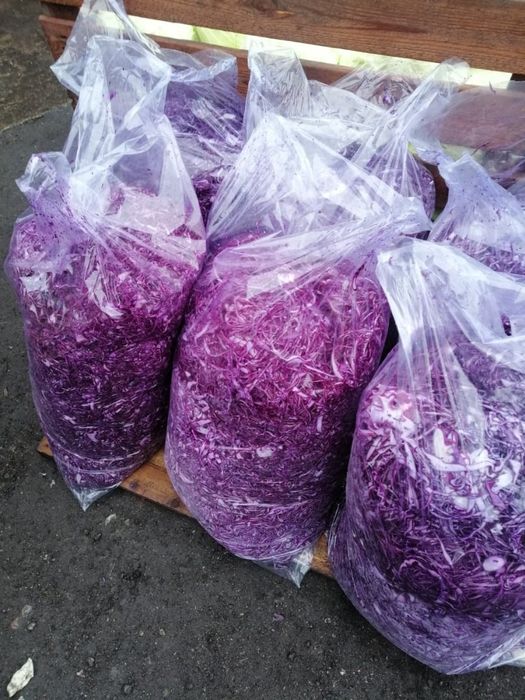 Sprzedam kapustę szatkowaną biała i czerwona
