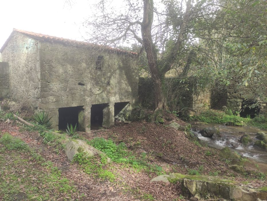 Moinho em Vila do Conde