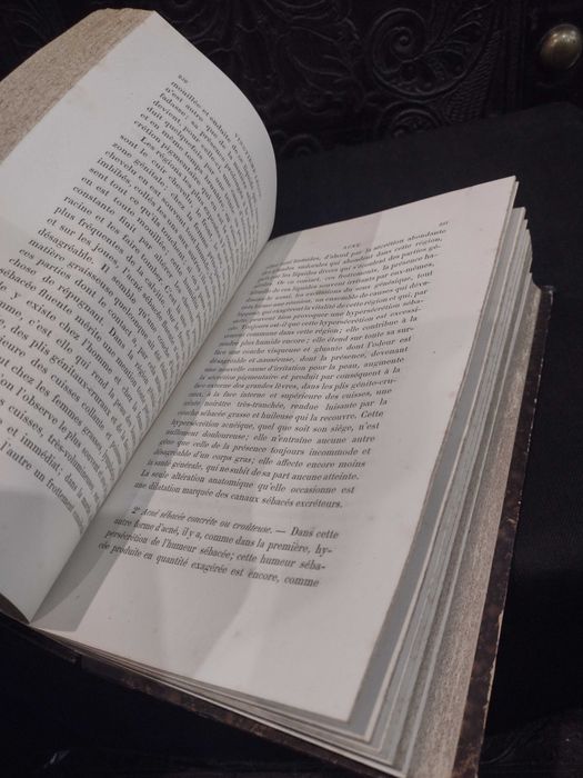 Maladies de la Peau - M. Le Dr E. Guibout 1876